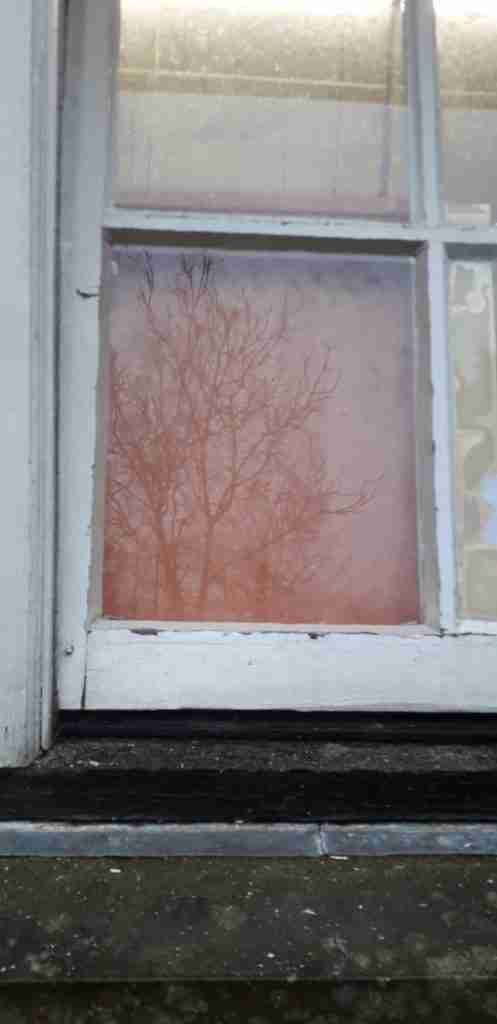 Single Glazing